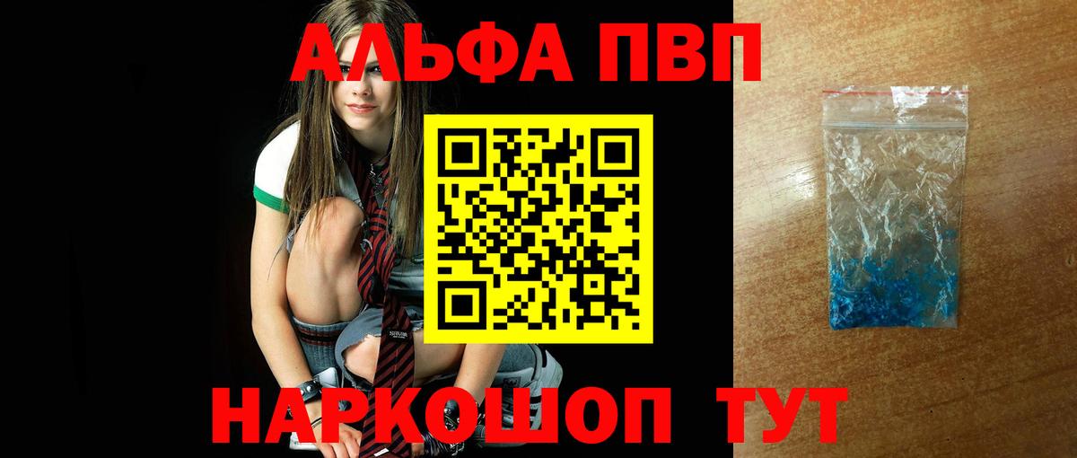 Alfa_PVP СК КРИС Урус-Мартан