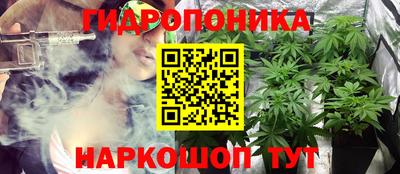 каннабис Камышлов