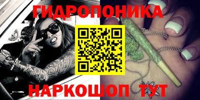 крисы Канаш